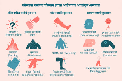 न्यूरो न्यूट्रिशन ऑक्सफर्ड एक्सपर्ट व्हिटामिन B1 १ खरेदी करा आणि २ मोफत मिळवा (एकूण ३ बाटल्या) @ ₹६९९ + डिलिव्हरी शुल्क